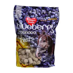 NAF BLUEBERRY & BANANA TREATS